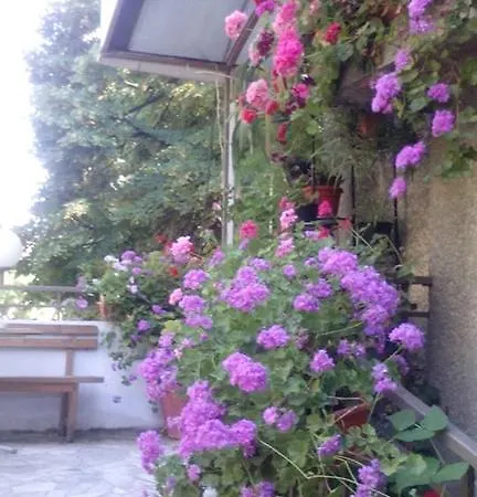 Ohrid Varna
